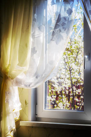 View from the window of a private house on a flowering garden.の写真素材