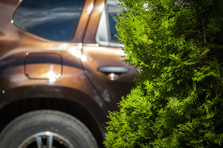 The car is in the backyard among the green trees.の写真素材