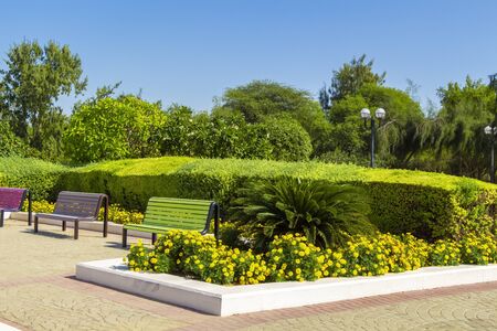 Beautiful park footpath along the city beach.の写真素材