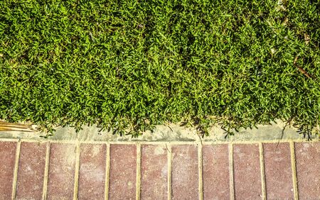 Decorative neatly trimmed bushes in the park along the cobblestone pavement.