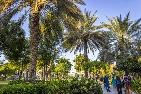 Dubai, UAE - December 3, 2018: In the territory of the dinosaur park of Dubai. Zabeel District.