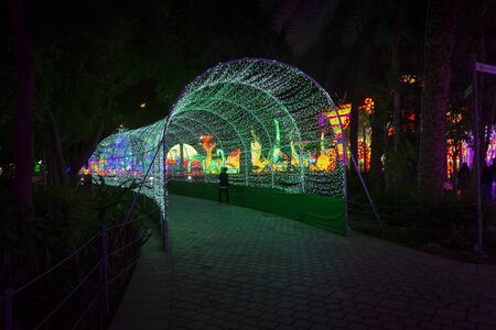 Dubai, UAE - December 3, 2018: Beautiful installations at the Dubai Garden Glow family theme park illuminated at night.のeditorial素材