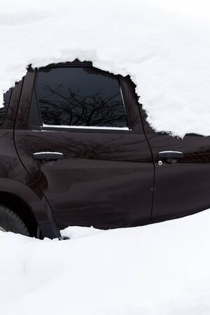 The car was completely covered with snow in the backyard.の写真素材