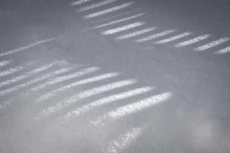 A play of shadows on the surface of freshly fallen snow in the backyard.