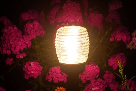 The garden lamp shines in a flower bed in a night garden.