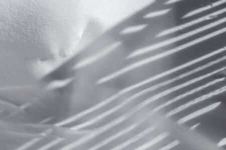 A play of shadows on the surface of freshly fallen snow in the backyard.の写真素材