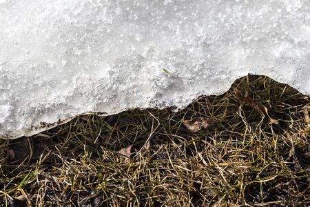 Snow is gradually melting on the lawn.の写真素材
