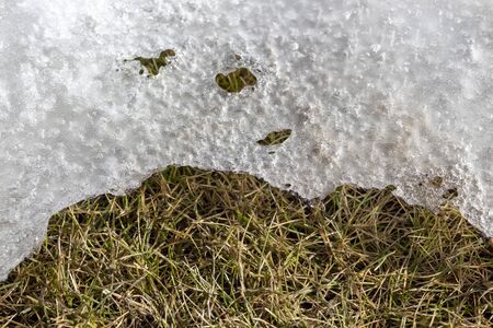 Snow is gradually melting on the lawn.