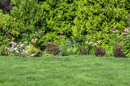 Landscaping of the backyard of a private house. Mowed lawn, decorative trees, flower beds.