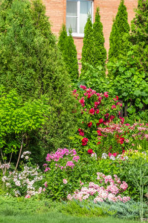 Landscaping of the backyard of a private house. Mowed lawn, decorative trees, flower beds.の写真素材