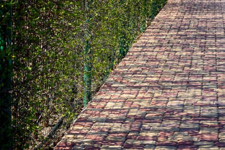 Street red-white striped pavement of paving stones.