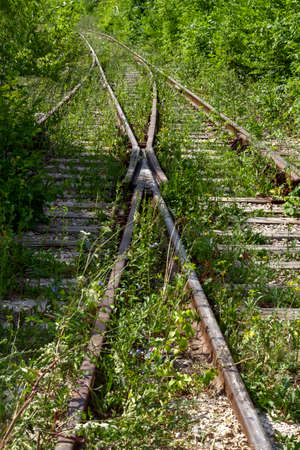 A line of an abandoned railroad overgrown with trees, bushes and grass.の写真素材
