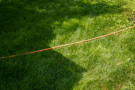 An orange long garden hose in the backyard of a private house.の写真素材