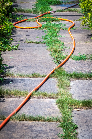 An orange long garden hose in the backyard of a private house.の写真素材