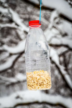 Winter feeder from an old plastic bottle for wild birds.の写真素材