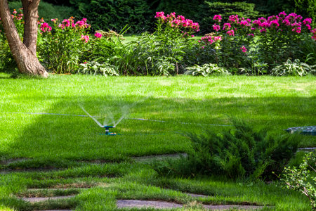 Backyard design elements of a beautiful private house.の写真素材