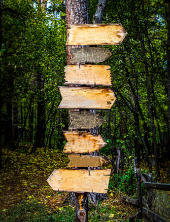 Wooden signs-pointers in a deep dark forest.