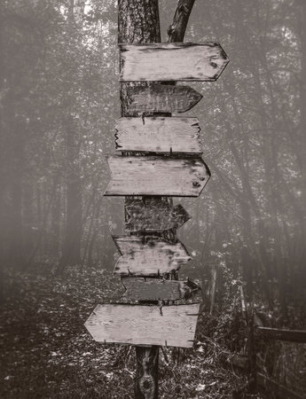 Wooden signs-pointers in a deep dark forest.