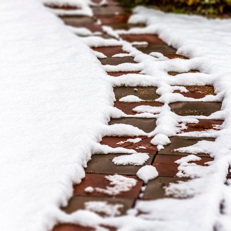 The garden tile path in the backyard is cleared of snow.の写真素材