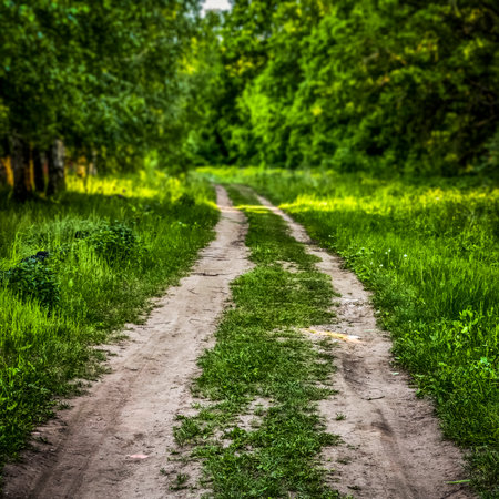 Rural winding dirt track of a road closeup.の写真素材