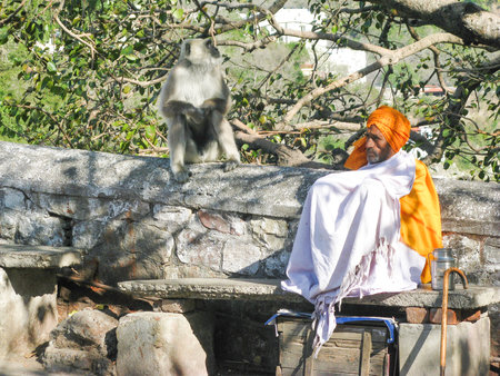 RISHIKESH, STATE UTTARAKHAND, INDIA - MARCH 03, 2014: Indian pilgrim Sadhu in a white cape and orange turban is resting on a bench next to the Langur monkey.のeditorial素材