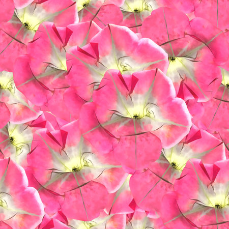 Petunia. Illustration, texture of flowers. Seamless pattern for continuous replication. Floral background, photo collage for textile, cotton fabric. For wallpaper, covers, print.の写真素材