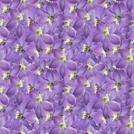 Delphinium, larkspur. Illustration, texture of flowers. Seamless pattern for continuous replication. Floral background, photo collage for textile, cotton fabric. For wallpaper, covers, print.の写真素材