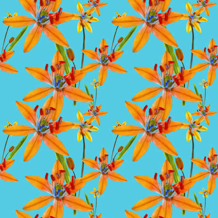 Bluebell, bellflower, campanula. Illustration, texture of flowers. Seamless pattern. Floral...