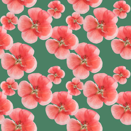 Geranium. Illustration, texture of flowers. Seamless pattern for continuous replication. Floral background, photo collage for textile, cotton fabric. For wallpaper, covers, print.の写真素材