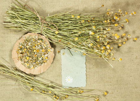 Chamomile, camomile. Dry herbs for use in alternative medicine, phytotherapy, spa or herbal cosmetics. Preparing infusions, decoctions or tinctures. For powders, ointments, oil or tea, bath.の写真素材