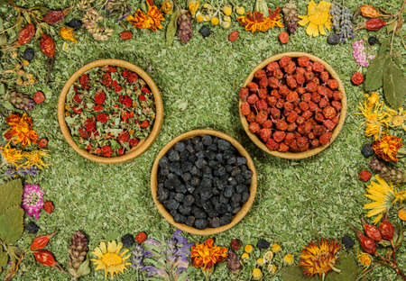 Set of spices, dry seeds with a high content of antioxidants, minerals and vitamins. Fruits of black...