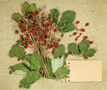 Strawberry. Dry herbs for use in alternative medicine, phytotherapy, spa or herbal cosmetics. Preparing infusions, decoctions or tinctures. For powders, ointments, oil or tea, bath.の写真素材