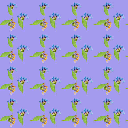 Cornflower. Illustration, texture of flowers. Seamless pattern for continuous replication. Floral...