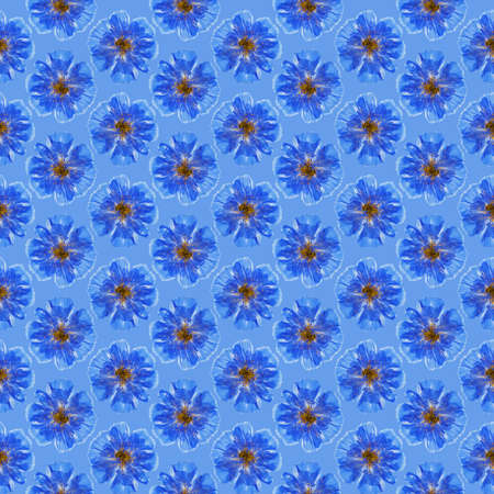 Cosmos. Illustration, texture of flowers. Seamless pattern for continuous replication. Floral background, photo collage for textile, cotton fabric. For wallpaper, covers, print.の写真素材