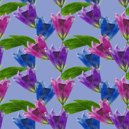 Bluebell, bellflower, campanula. Illustration, texture of flowers. Seamless pattern for continuous replication. Floral background, photo collage for textile, cotton fabric. For wallpaper, covers, print.の写真素材