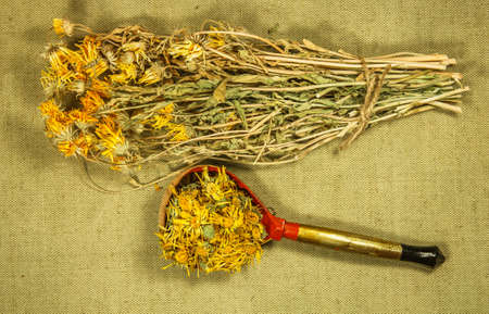 Calendula. Dry herbs for use in alternative medicine, phytotherapy, spa or herbal cosmetics. Preparing infusions, decoctions or tinctures. For powders, ointments, oil or tea, bath.の写真素材
