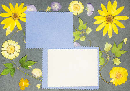 Page from an old photo album. Dried pressed flowers. Scrapbooking element decorated with leaves,...