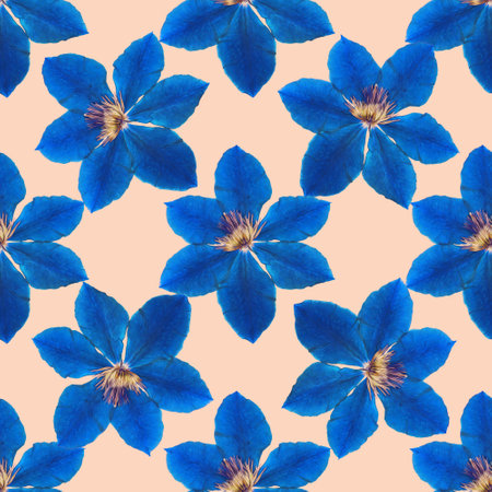 Clematis. Illustration, texture of flowers. Seamless pattern for continuous replication. Floral background, photo collage for textile, cotton fabric. For wallpaper, covers, print.の写真素材