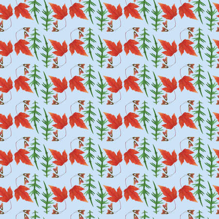 Maple leaf, thistle leaf. Illustration, texture of flowers. Seamless pattern for continuous replication. Floral background, photo collage for textile, cotton fabric. For wallpaper, covers, print.の写真素材