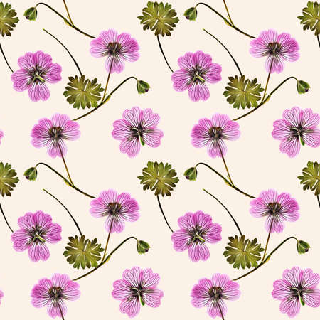 Geranium, pelargonium. Illustration, texture of flowers. Seamless pattern for continuous replication. Floral background, photo collage for textile, cotton fabric. For wallpaper, covers, print.の写真素材