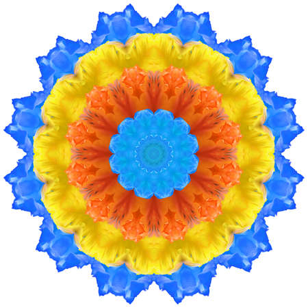Mandala from dried pressed flowers, petals. Mandala is symbol of buddhism, hinduism, yoga. Ornament mandala with pattern floral elements in oriental style for relax and meditation.の写真素材
