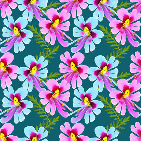 Schizanthus. Illustration, texture of flowers. Seamless pattern for continuous replication. Floral background, photo collage for textile, cotton fabric. For wallpaper, covers, print.の写真素材