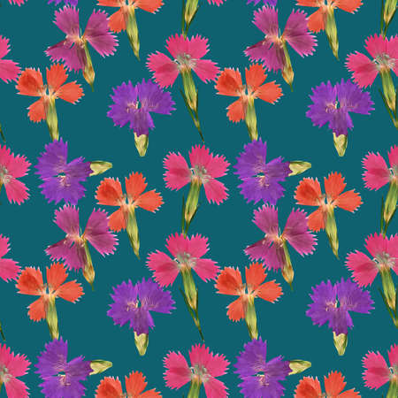 Carnation, clove. Illustration, texture of flowers. Seamless pattern for continuous replication. Floral background, photo collage for textile, cotton fabric. For wallpaper, covers, print.の写真素材