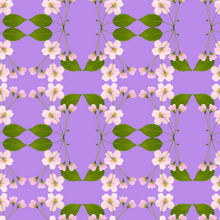 Apple flowers. Illustration, texture of flowers. Seamless pattern for continuous replication. Floral...