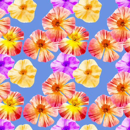 Eschscholzia. Illustration, texture of flowers. Seamless pattern for continuous replication. Floral background, photo collage for textile, cotton fabric. For wallpaper, covers, print.の写真素材