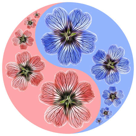 Floral symbol Yin-Yang. Geranium. Geometric pattern of Yin-Yang symbol, from plants on colored background in Oriental style. Yin Yang symbol from flowers, petals. Flower illustration of mandala.の写真素材
