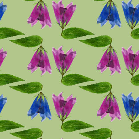 Bluebell, bellflower, campanula. Illustration, texture of flowers. Seamless pattern for continuous replication. Floral background, photo collage for textile, cotton fabric. For wallpaper, covers, print.の写真素材