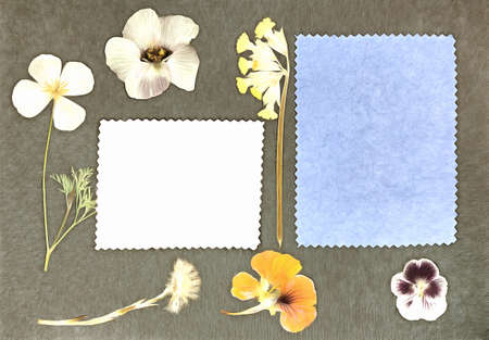 Page from old photo album. Flowers in watercolor style. For texture, wrapper pattern or greeting, card, postcards. Digital painting-illustration. Watercolor drawing. Scrapbooking element.の写真素材