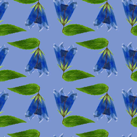 Bluebell, bellflower, campanula. Illustration, texture of flowers. Seamless pattern for continuous replication. Floral background, photo collage for textile, cotton fabric. For wallpaper, covers, print.の写真素材