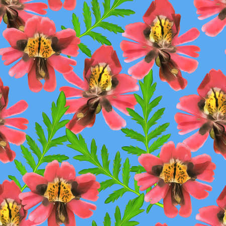 Schizanthus. Illustration, texture of flowers. Seamless pattern for continuous replication. Floral background, photo collage for textile, cotton fabric. For wallpaper, covers, print.の写真素材